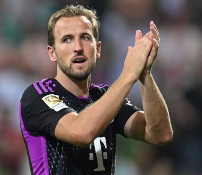 仅展现了球 仅展现了球